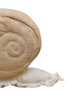 Lazy Snail Cushion by Lorena Canals