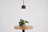 CASTLE MUSE Noir Pendant by Seed Design