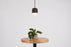 CASTLE MUSE Noir Pendant by Seed Design