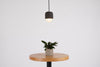 CASTLE MUSE Noir Pendant by Seed Design