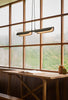 FLO Pendant PL2 by Seed Design