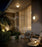 Pensee Wall/Ceiling Light by Seed Design