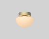 Pensee Wall/Ceiling Light by Seed Design