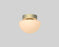 Pensee Wall/Ceiling Light by Seed Design