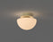 Pensee Wall/Ceiling Light by Seed Design