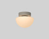 Pensee Wall/Ceiling Light by Seed Design