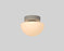 Pensee Wall/Ceiling Light by Seed Design