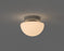 Pensee Wall/Ceiling Light by Seed Design