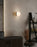 Pensee Wall/Ceiling Light by Seed Design