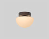 Pensee Wall/Ceiling Light by Seed Design