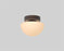 Pensee Wall/Ceiling Light by Seed Design