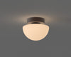 Pensee Wall/Ceiling Light by Seed Design
