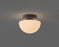 Pensee Wall/Ceiling Light by Seed Design