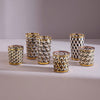 Versailles Highball Glassware Set by Jonathan Adler