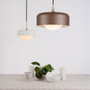 Pensee L Pendant by Seed Design