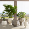 Scallop Concrete Planter by Jonathan Adler (Copy)