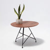 Euphony Coffee Table by Camino X MASSIMO