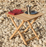 Outdoor Market Folding Table by Hay