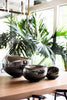 Echo Vessel par SkLo