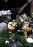 Smurfs x Skultuna Giftbox - Set of 8 by Skultuna
