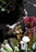Smurfs x Skultuna Giftbox - Set of 4 by Skultuna