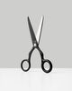 Spectra scissors by Craighill, sleek accessories with sharp blades and modern design, shown in close-up.