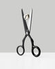 Craighill Spectra scissors accessory with sleek metallic design, featuring sharp blades and ergonomic handles.