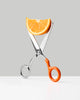 Craighill Spectra scissors, stylish accessories with sleek metal handles and sharp blades for precise cutting.