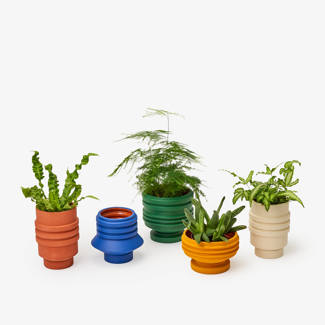 Strata Plant Vessel by Areaware