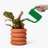 Tango Watering Can by Areaware