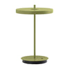 UMAGE Asteria Move portable lamp in monochrome leaf green finish