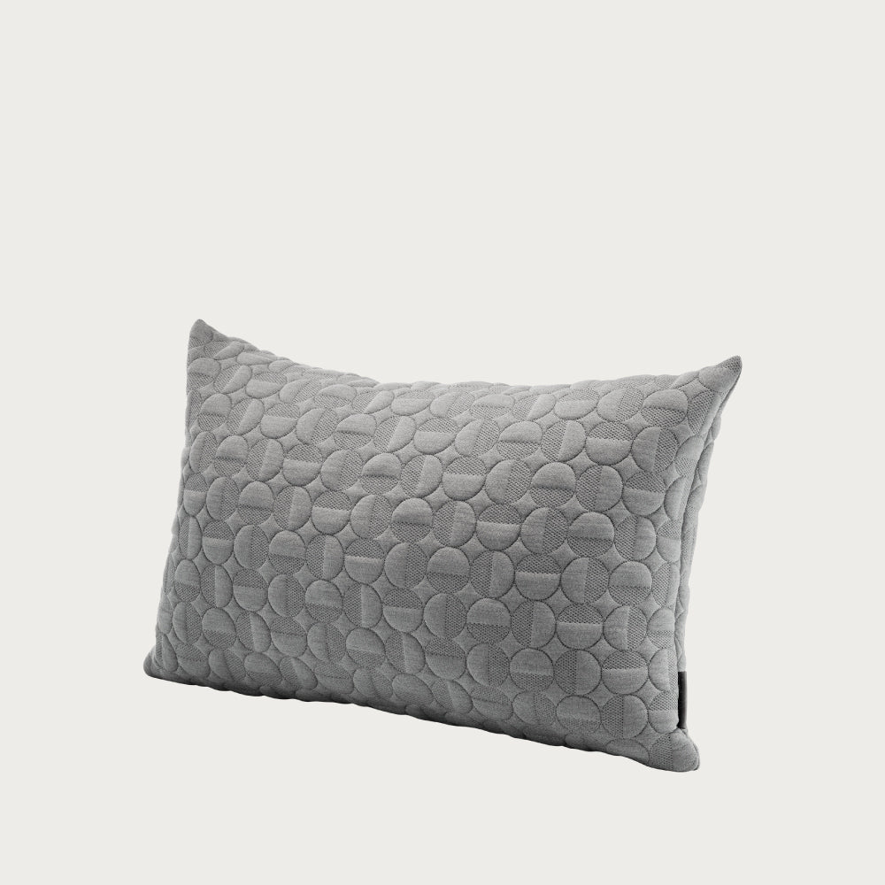 Accessories — Tagged Pillows — The Modern Shop