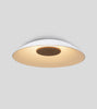 Volo 36 Flush Mount by Cerno