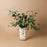 Vase Spécimen de Botaniste par Jonathan Adler