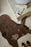 Hector the Donkey Rug by Lorena Canals