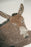 Hector the Donkey Rug by Lorena Canals