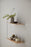 Woud Stedge floating storage shelf with minimalist design and natural wood finish, mounted on a wall for modern home organization.