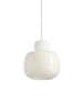 Small Woud Stone Pendant Glass lighting fixture hanging from a cord with a transparent glass shade and stone detail.