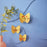 Yellow Butterflies - Set of 3 by Studio Roof