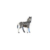 Zebra - Wild Animals by Studio Roof