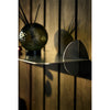 Aedes Shelf by AYTM
