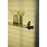 Aedes Shelf by AYTM