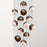 Ohm. 13 Chandelier by Anony