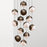 Ohm. 13 Lustre par Anony