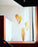 Cry Baby 24" Pendant by Atelier Cocotte