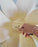 Flora 4 Table Lamp by Atelier Cocotte