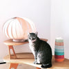 Caracol Table Lamp by Atelier Cocotte