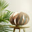 Sol Large Table Lamp by Atelier Cocotte