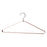 VESTIS Hanger (Set of 2) by AYTM