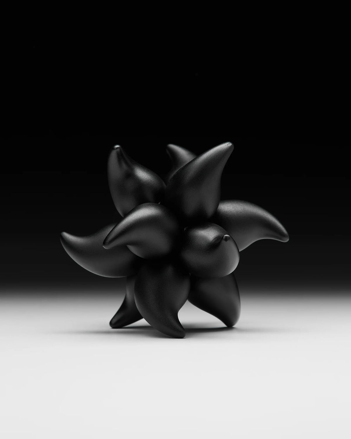 Andromeda Puzzle by Craighill